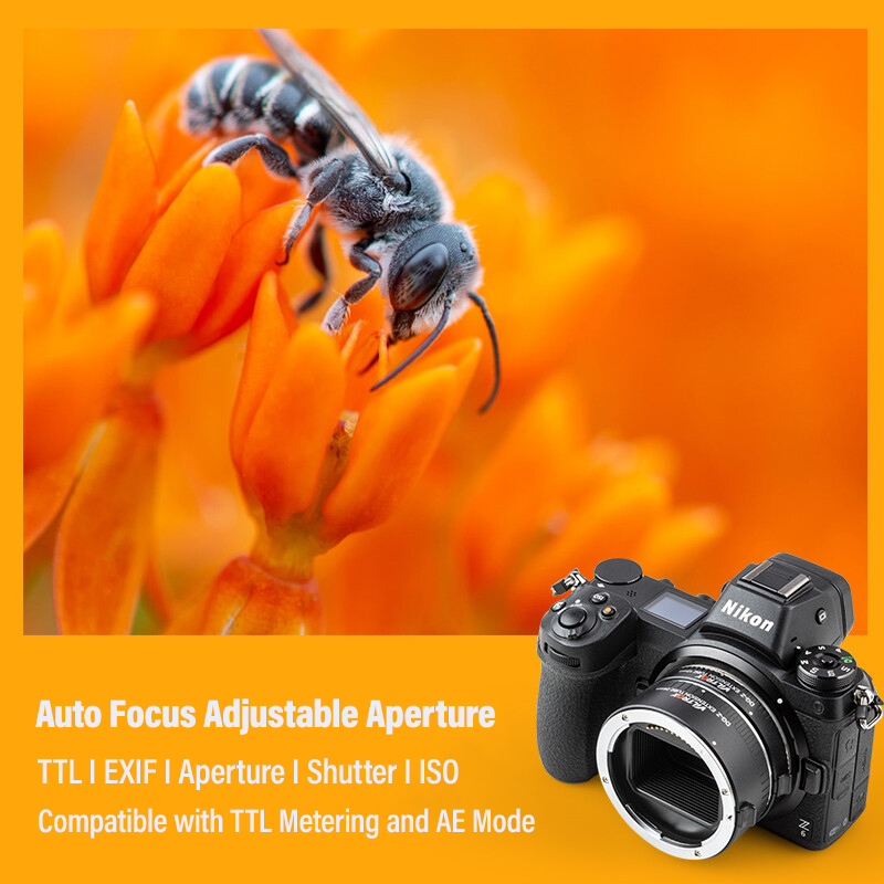أنبوب تمديد ماكرو AF ومحول عدس - مراجعة Macro Extension Tube وسعره