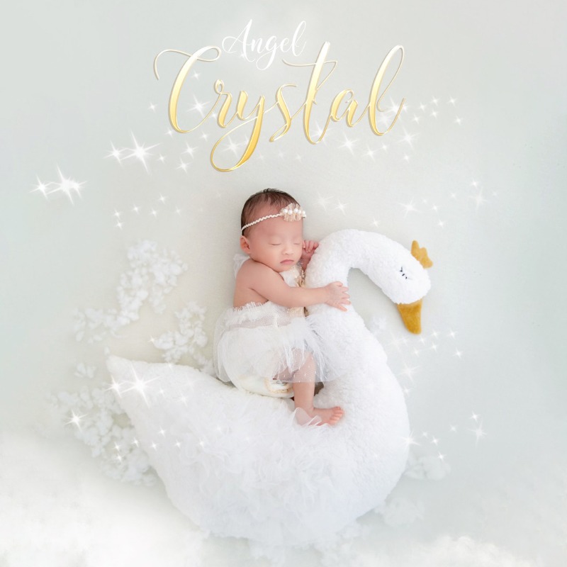 طقم ملابس دانتيل على شكل بجعة  - مراجعة Photography Outfit وسعره